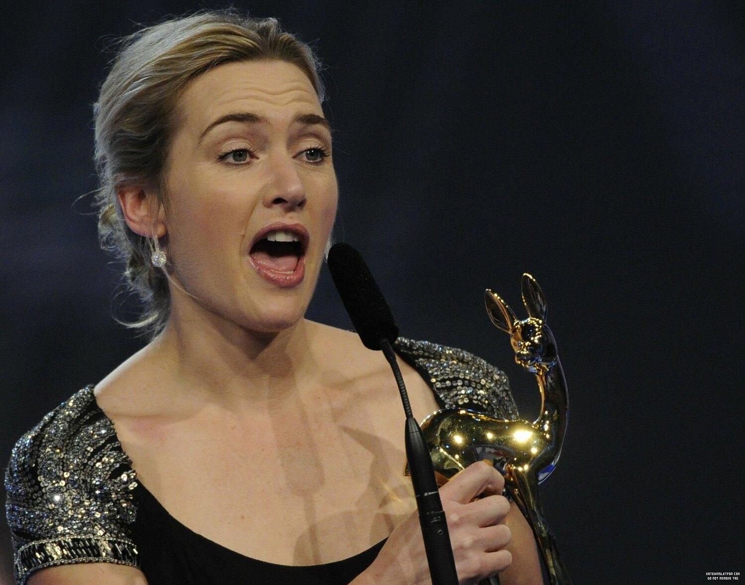2009-bambi-awards_001.jpg