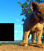 pride_talking-with-lions_making-of_008.jpg